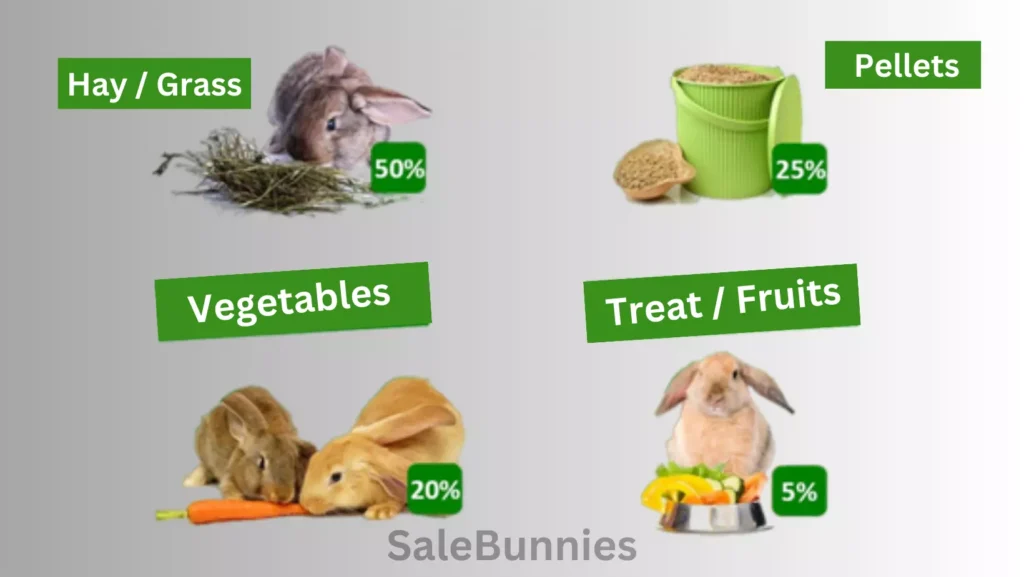 Rabbit Diet Essentials​